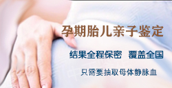 武汉怀孕十一周可以做产前亲子鉴定吗(预约办理),武汉办理无创孕期亲子鉴定需要多少费用 武汉怀孕十一周可以做产前亲子鉴定吗(预约办理),武汉办理无创孕期亲子鉴定需要多少费用