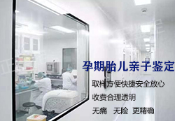 武汉怀孕十周可以做怀孕亲子鉴定吗(免费预约),武汉做无创产前亲子鉴定费用是多少钱 武汉怀孕十周可以做怀孕亲子鉴定吗(免费预约),武汉做无创产前亲子鉴定费用是多少钱