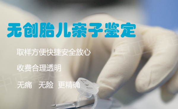 武汉怀孕十周可以做怀孕亲子鉴定吗,武汉做无创产前亲子鉴定费用是多少钱 武汉怀孕十周可以做怀孕亲子鉴定吗,武汉做无创产前亲子鉴定费用是多少钱